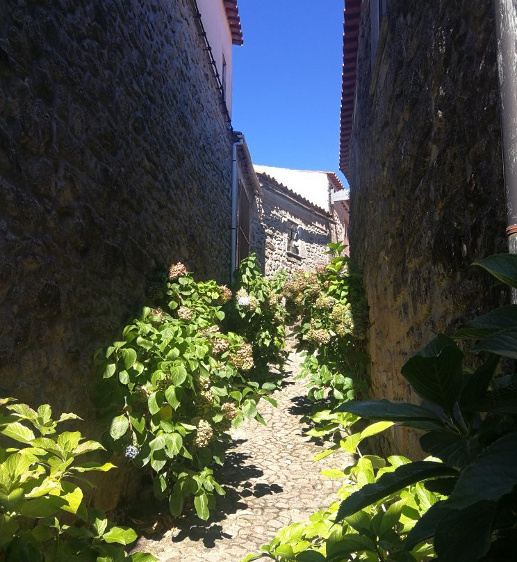 Pelourinho de Trancoso景点图片