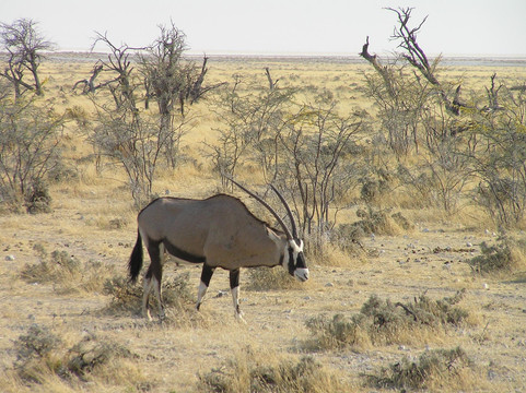 Marek Adventures-温德和克必去景点