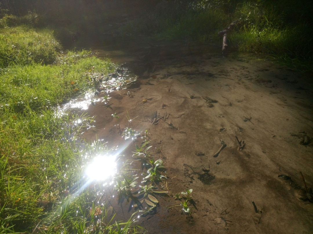 Saspowka stream valley景点图片