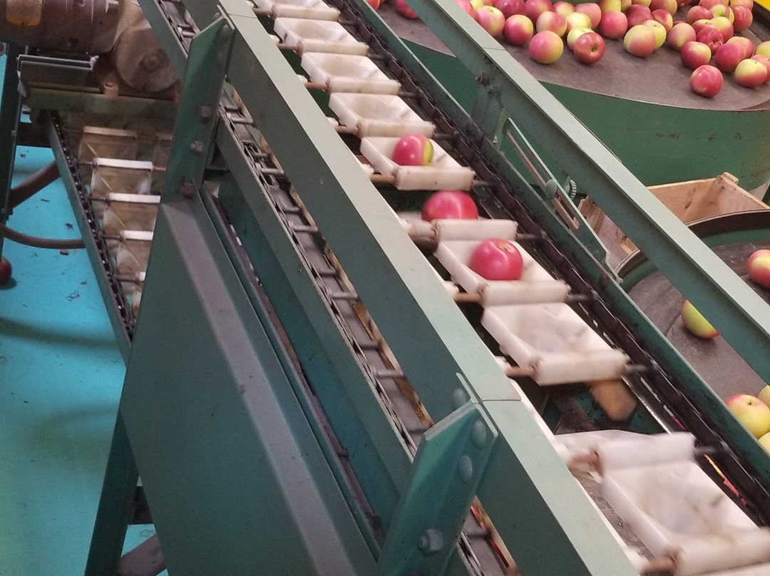 The Big Apple Farm-伦瑟姆必去景点