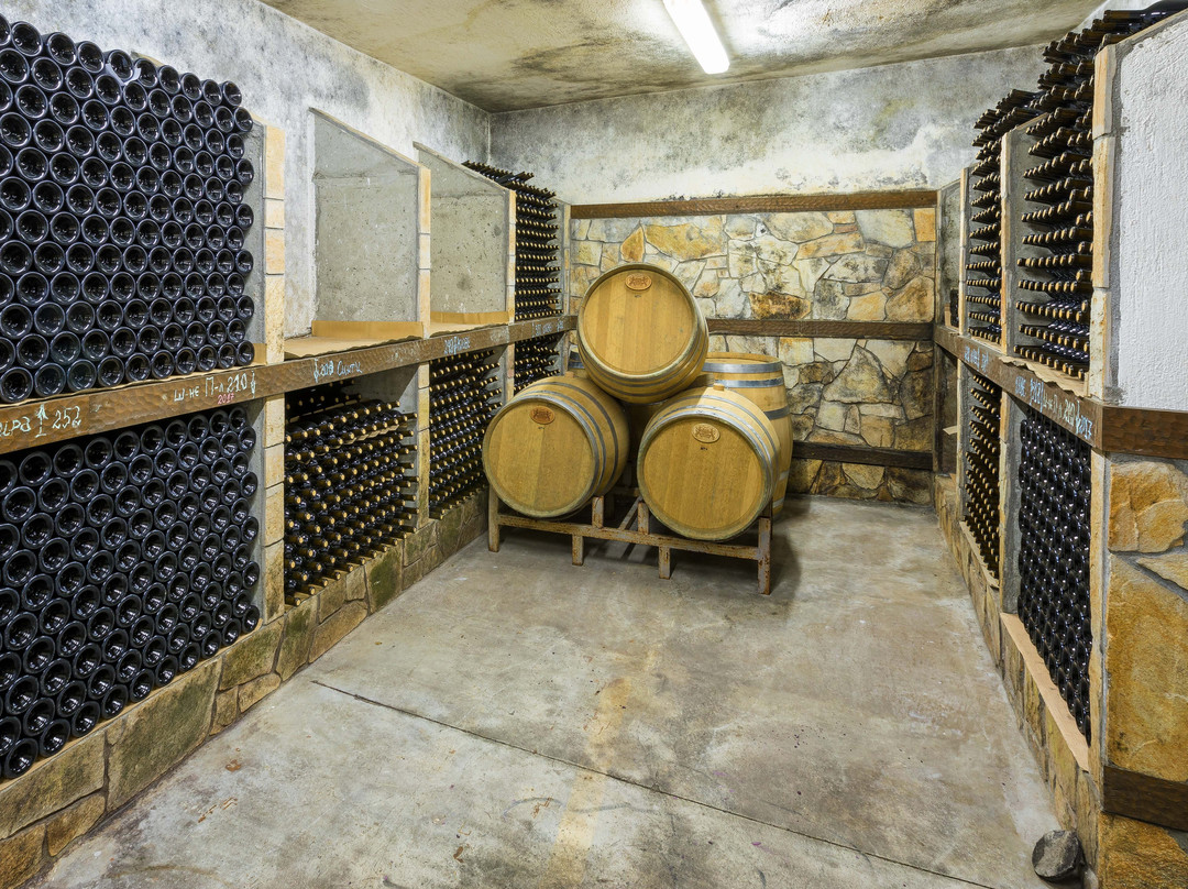 Sintica Winery景点图片
