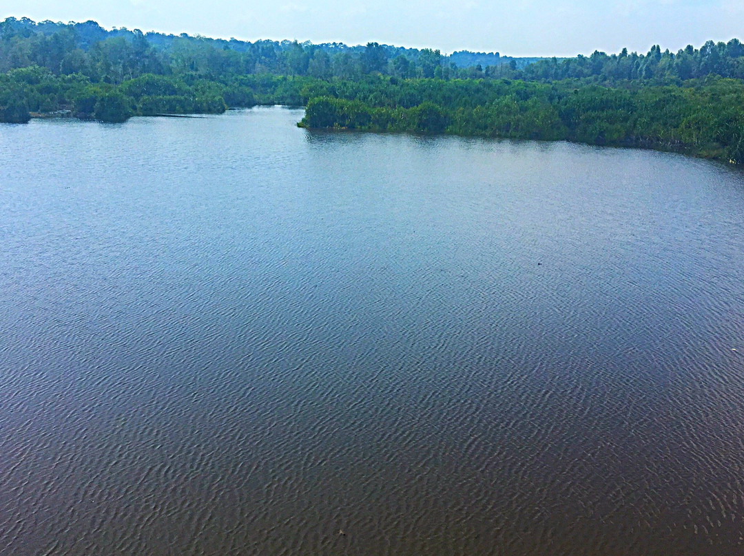 Tasek Bera-而连突必去景点