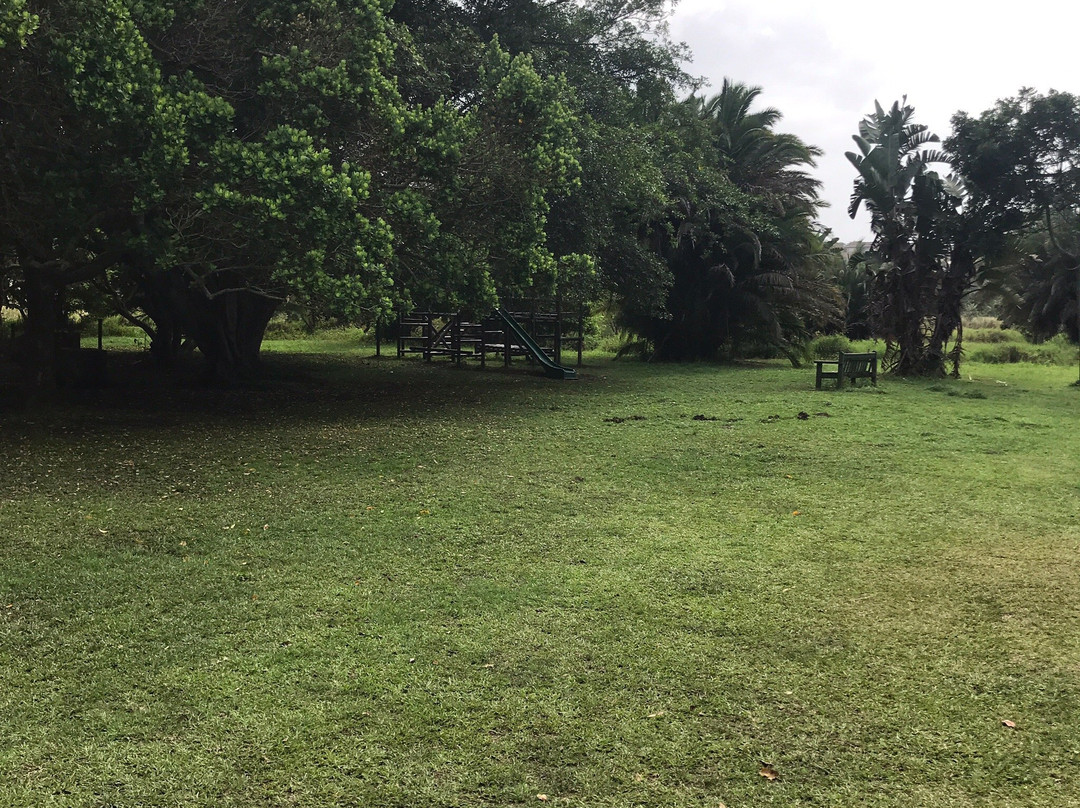 TC Robertson Nature Reserve景点图片