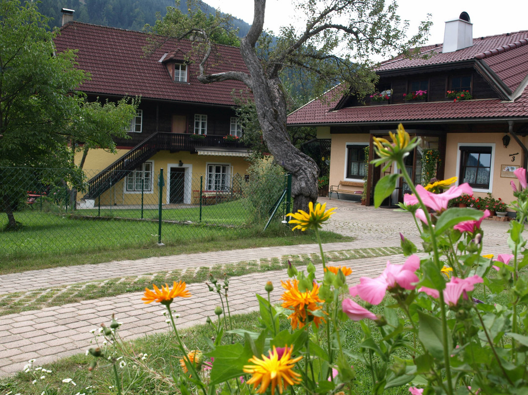 Ferienwohnungen Villa Heinrich