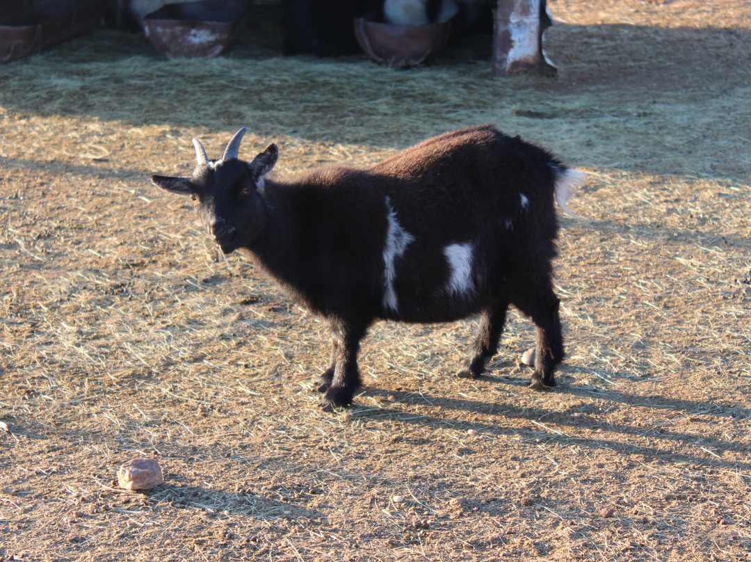 Hananja Lodge and Restaurant主图