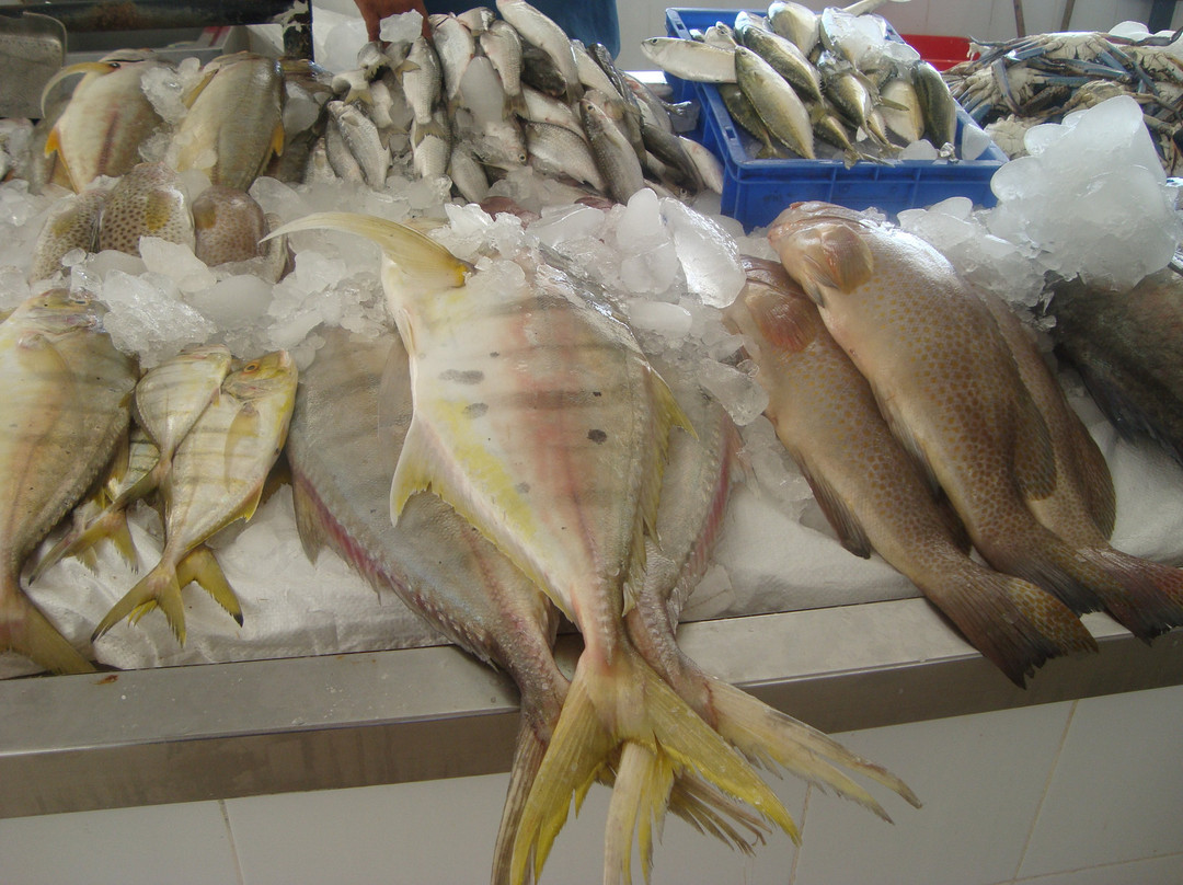 阿治曼旅游景点-Ajman Fish Market