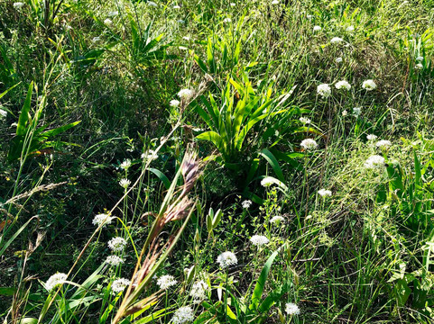 密云仙居谷-北京市必去景点