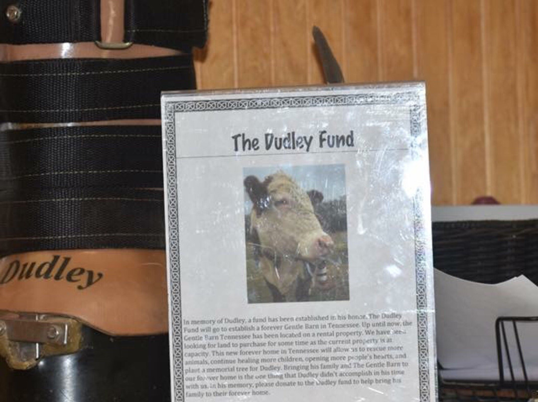 Gentle Barn-诺克斯维尔必去景点