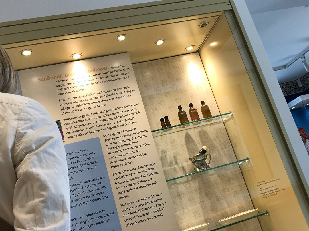 Rosenmuseum Steinfurth-Bad Nauheim必去景点