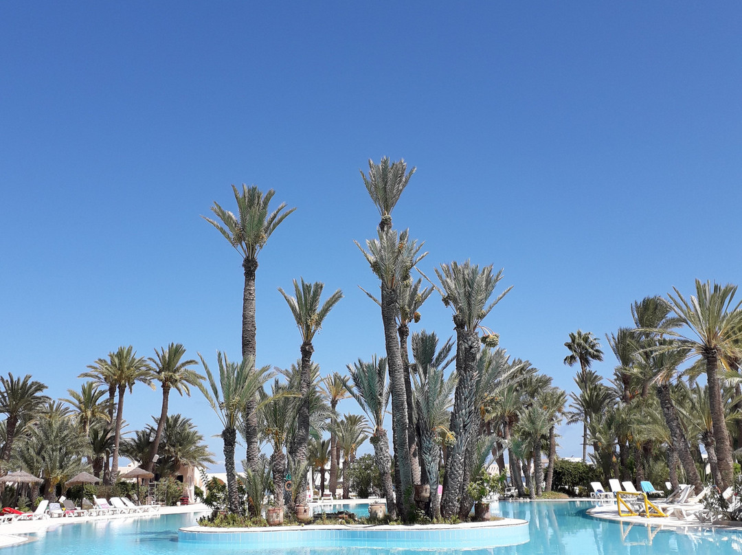 Zita Beach Resort主图