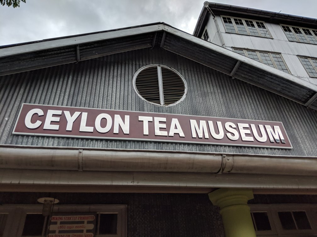 锡兰茶博物馆景点图片