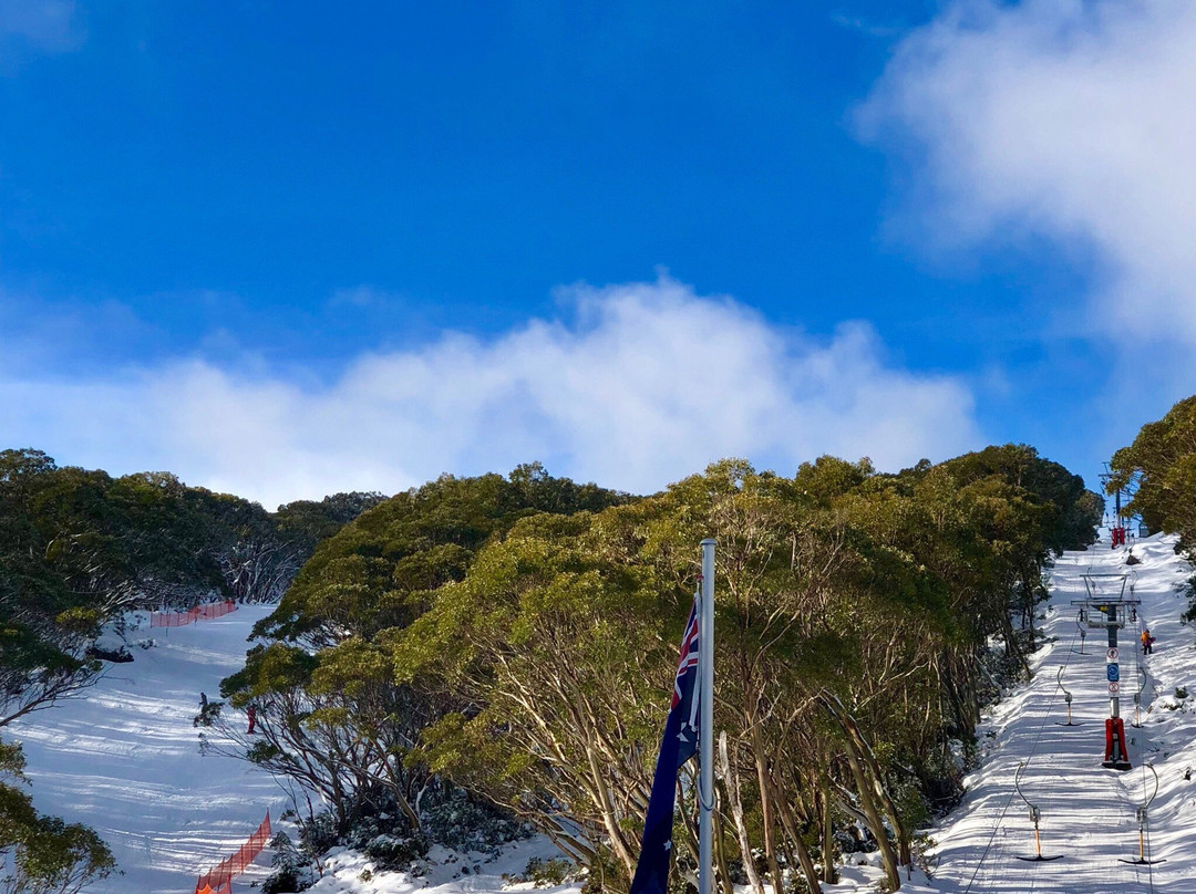 Mt Baw Baw Summit Walk-Mount Baw Baw必去景点