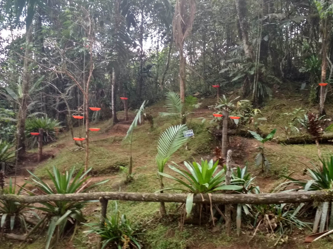 Finca Alejandria "El Paraiso de los Colibries"景点图片