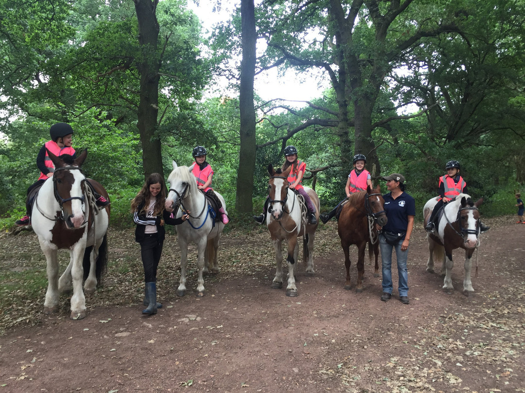 Sherwood Forest Trekking Centre景点图片