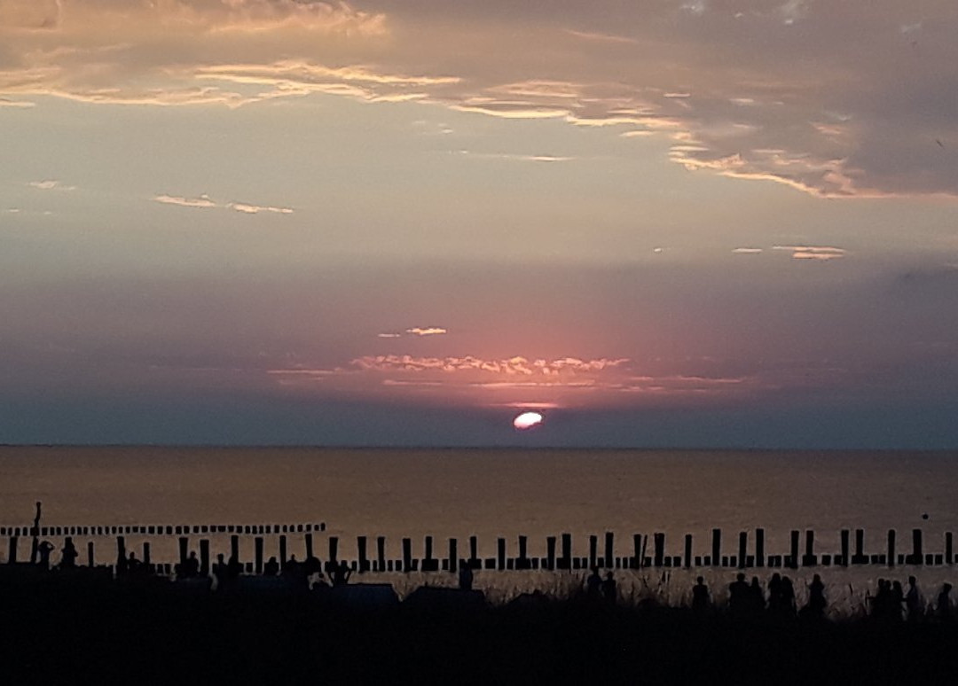 Seebrucke Zingst景点图片