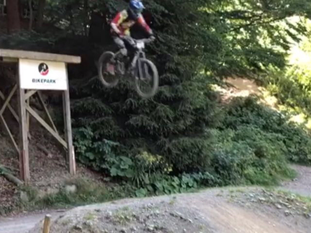 Bikepark Winterberg-Winterberg必去景点