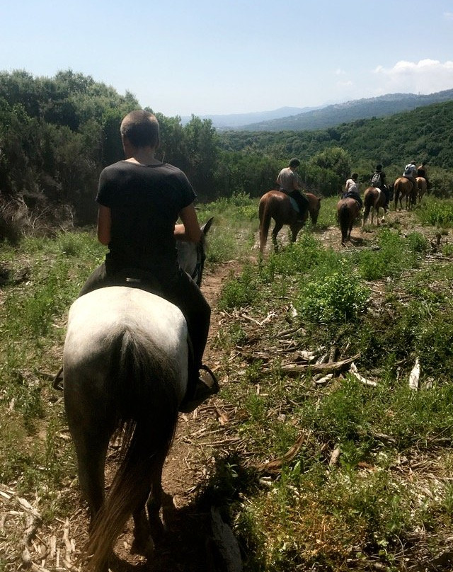 Ranch Cavallu Indi Stella景点图片