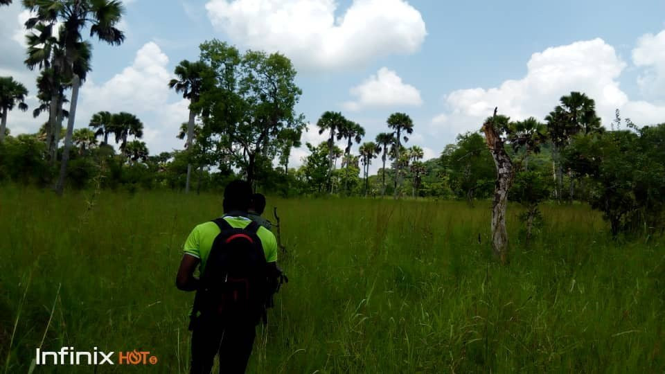 Akosombo旅游景点-Kalakpa Nature Reserve