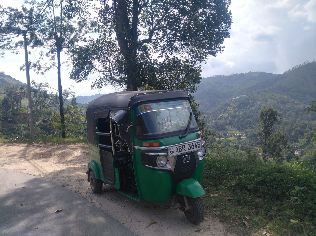 Paradise Tuk Tuk Tours-唐卡拉必去景点