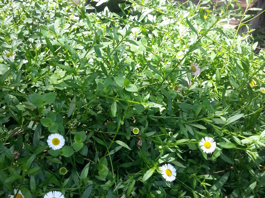 African Tree Lodge主图