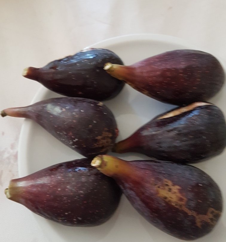 Core by Clare Smyth