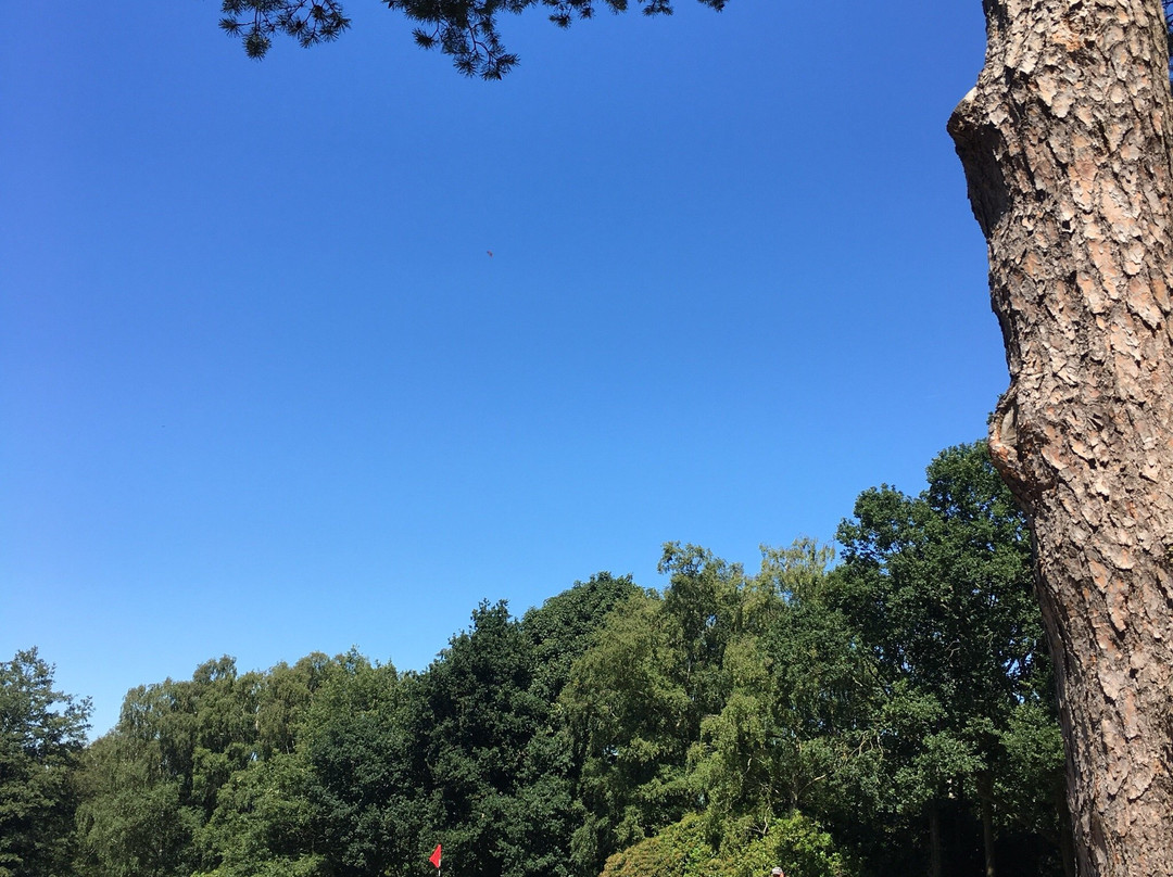 Longcliffe Golf Club景点图片