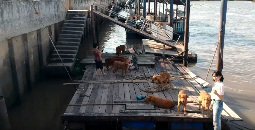 Wat Yai Sawang Arom-北革必去景点