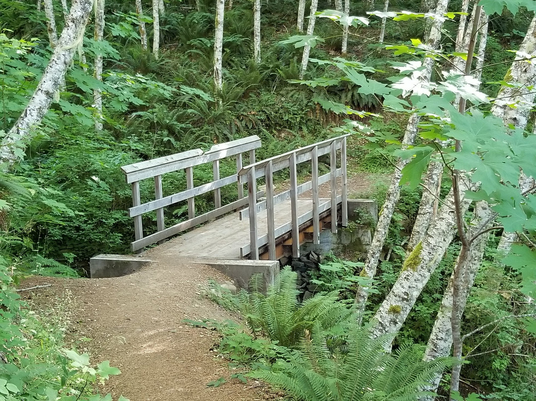 Lewis River Lower Falls景点图片
