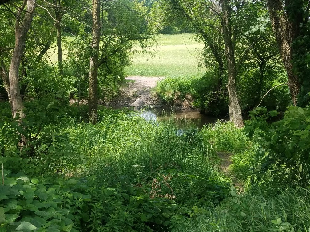 Plum Creek景点图片