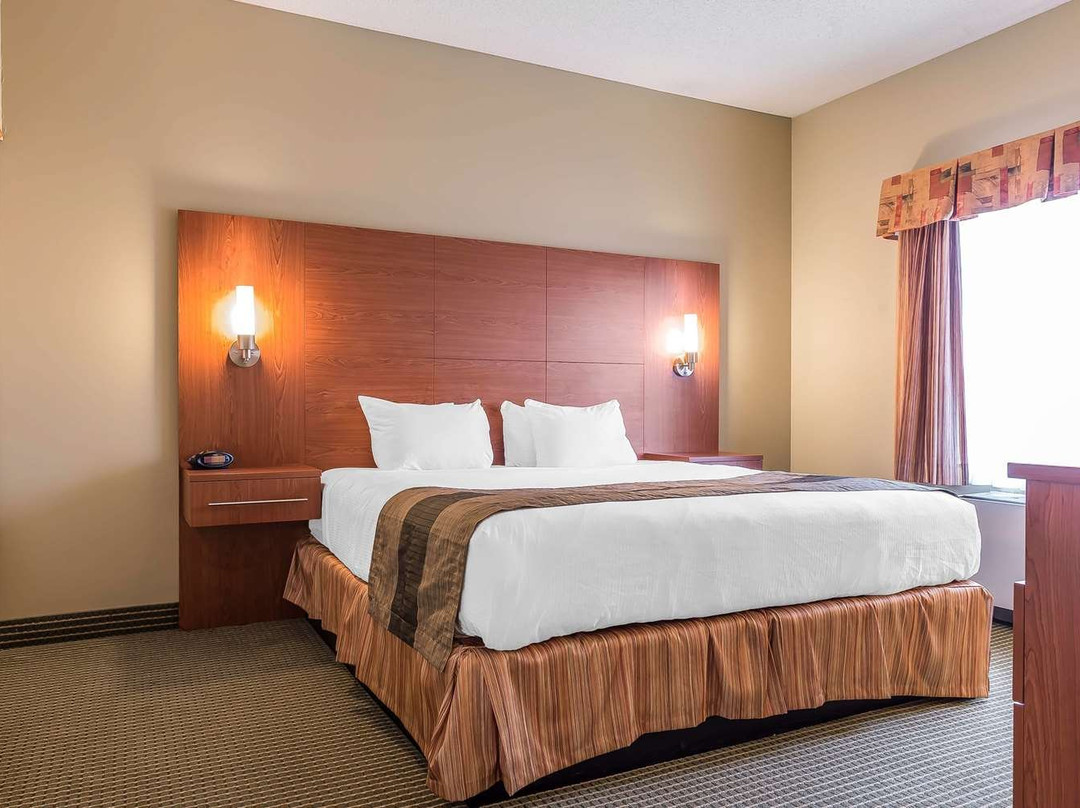 Quality Inn & Suites主图