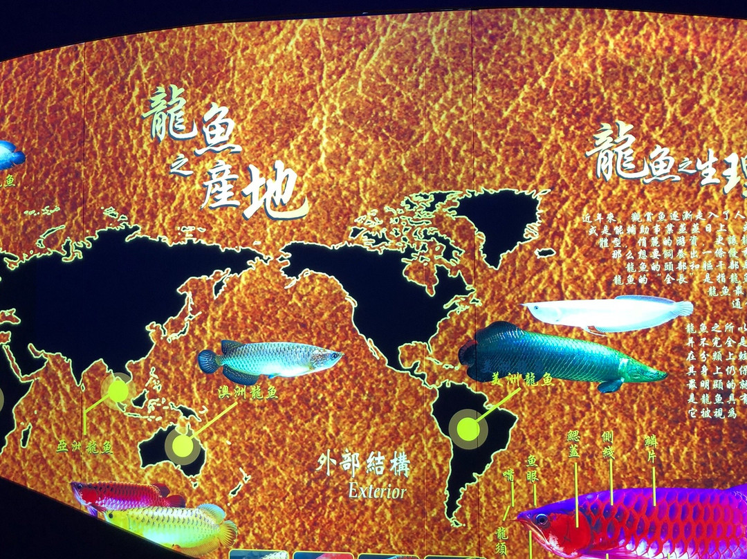 World Of Dragon-Padang Serai必去景点