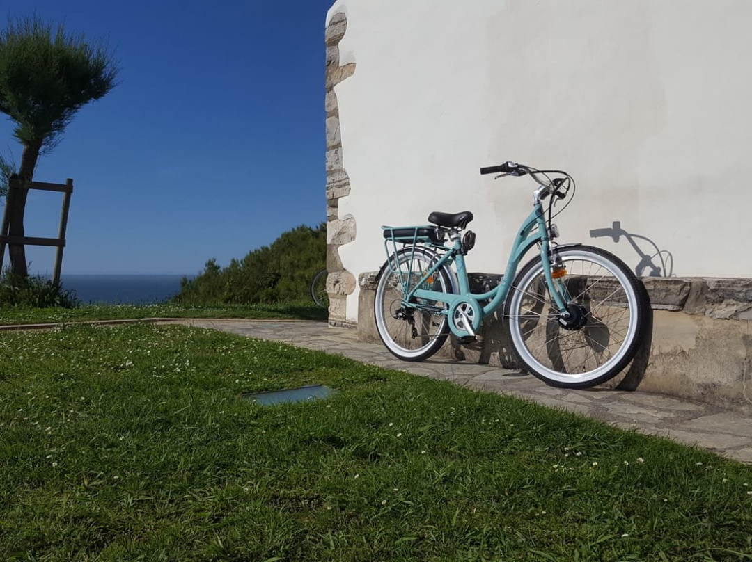 Marty Bike Rental景点图片
