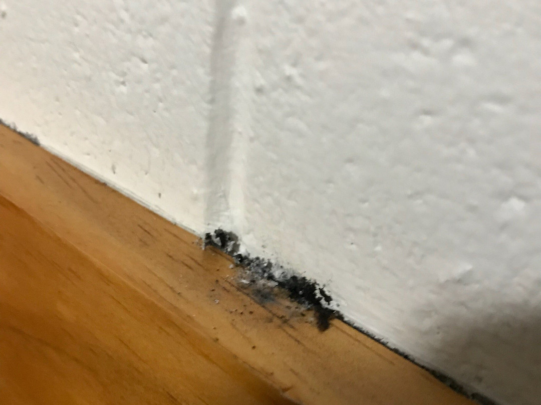 Central Motel Ipswich主图