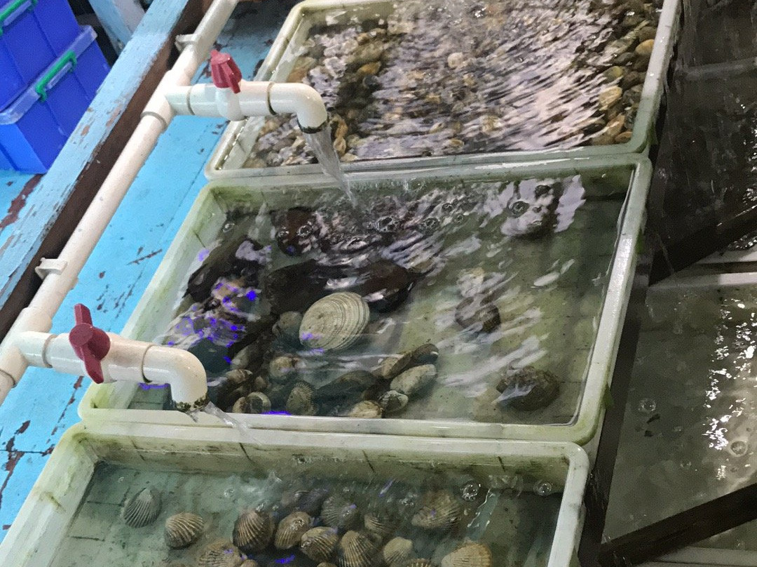 海陵珍珠养殖场景点图片