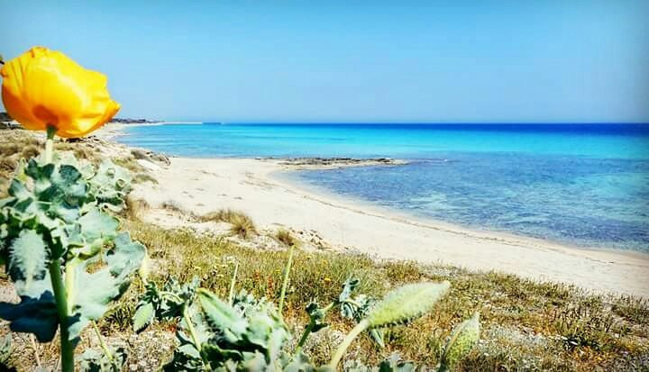 Spiaggia della Madonnina