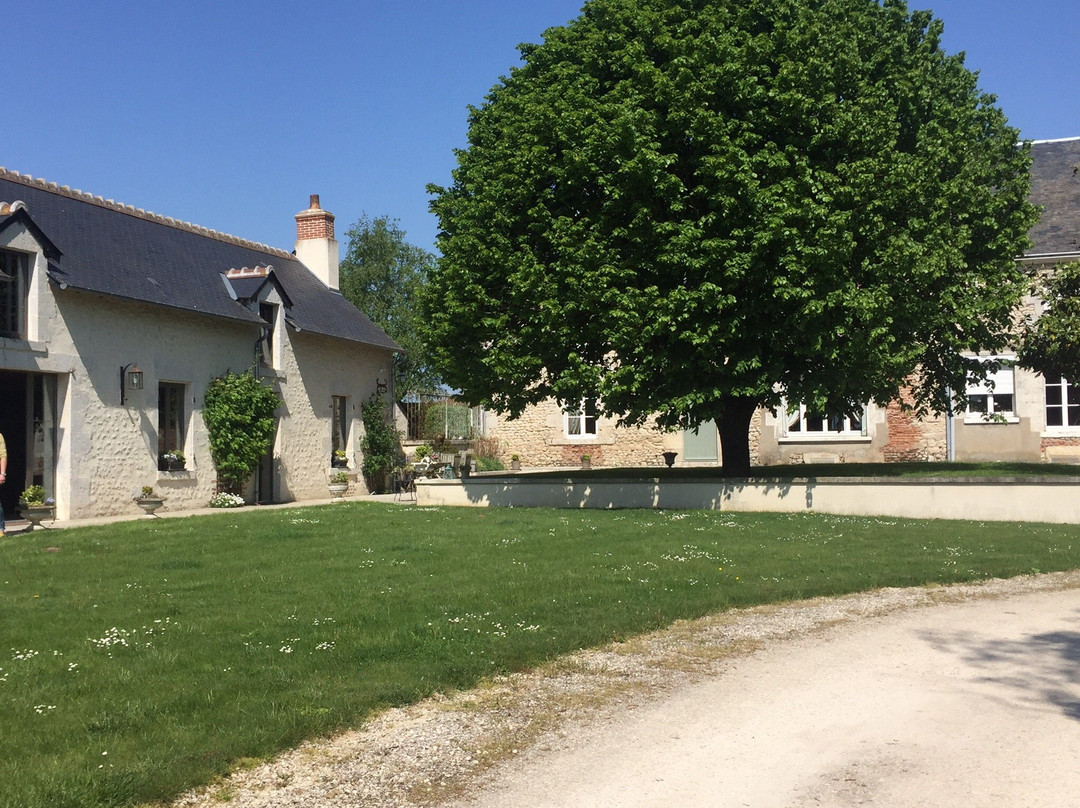Domaine de la Fouardiere主图