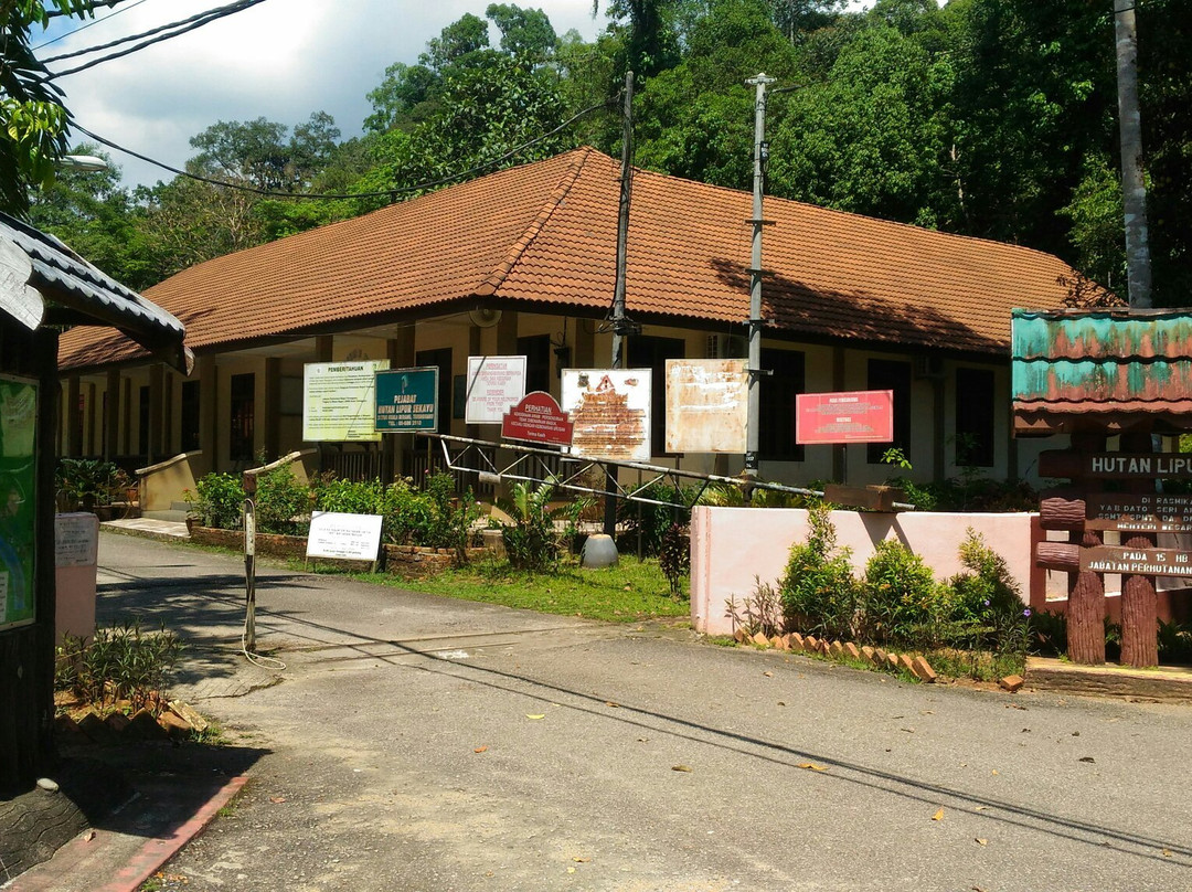 Sekayu Waterfall景点图片