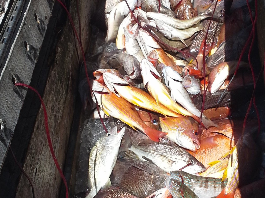 Reef Raider Fishing Charters-恩格尔伍德必去景点