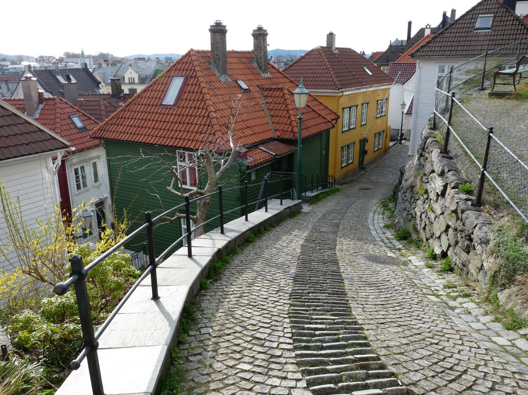 Martins Bergen Tours