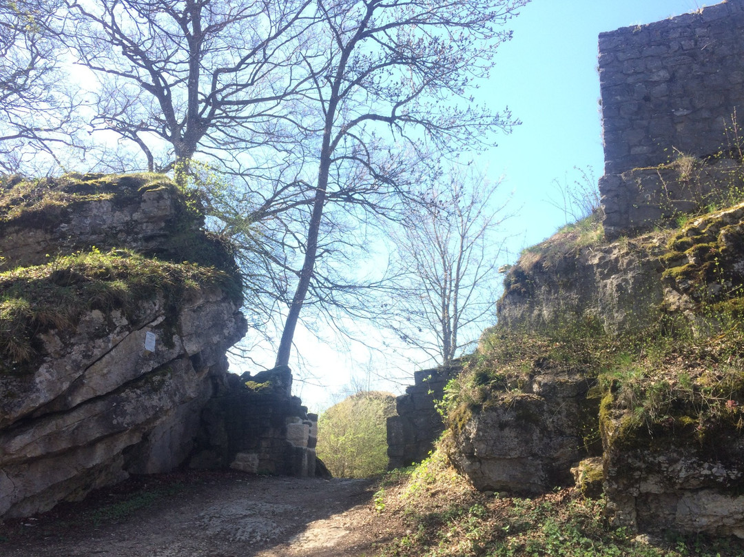 Ruine Frohburg景点图片