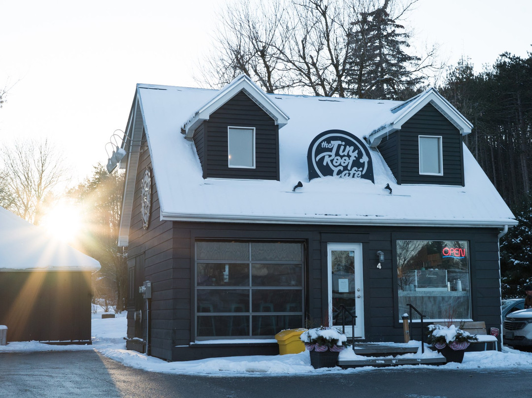 Erin餐馆和美食-Tin Roof Cafe