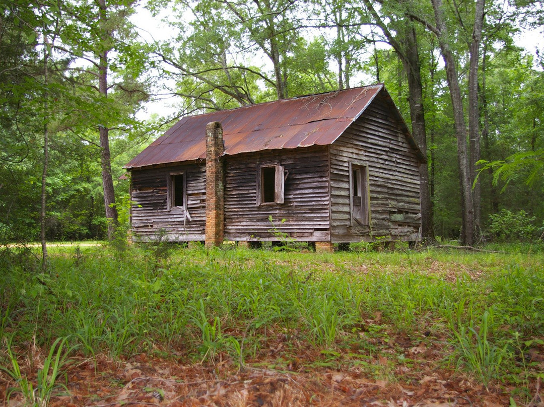 Old Cahawba Archaeological Park景点图片