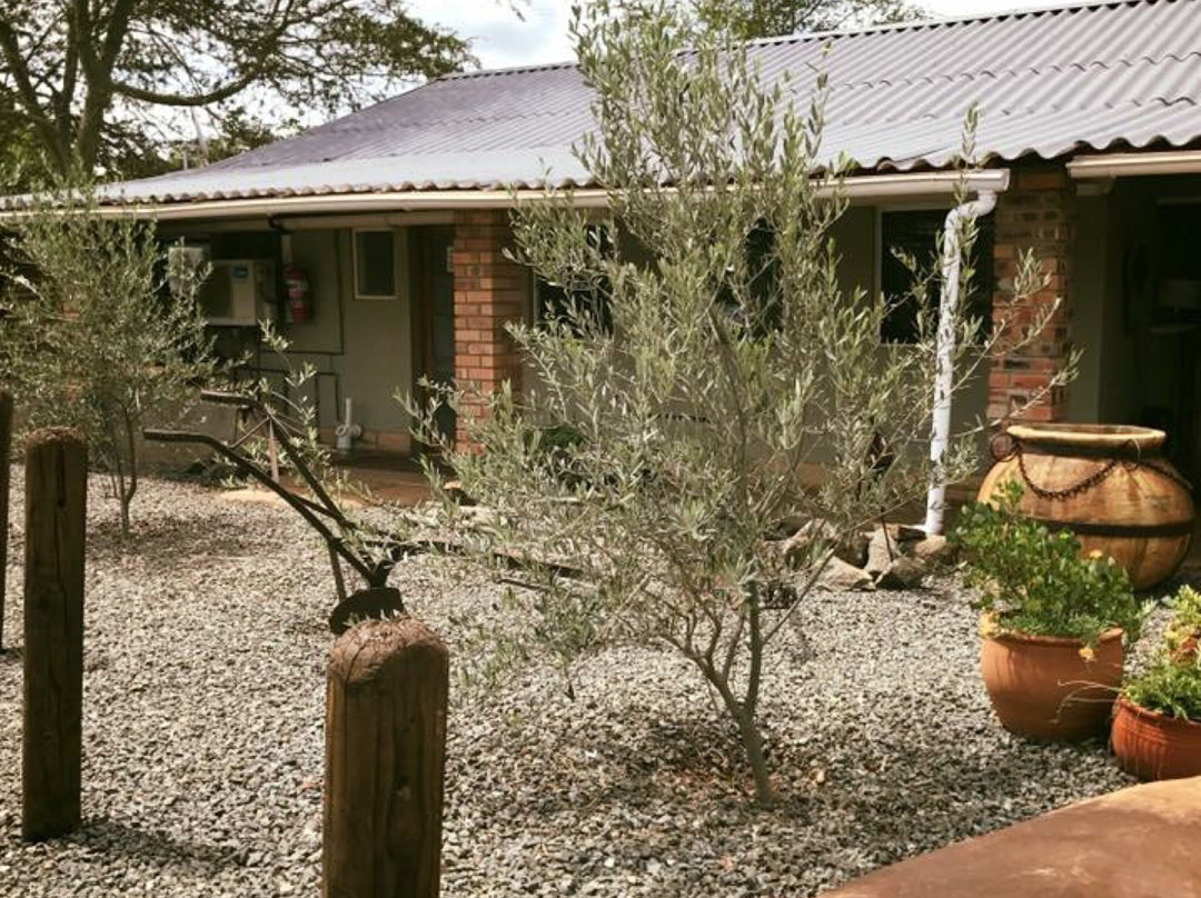 Biweda Nguni B&B主图