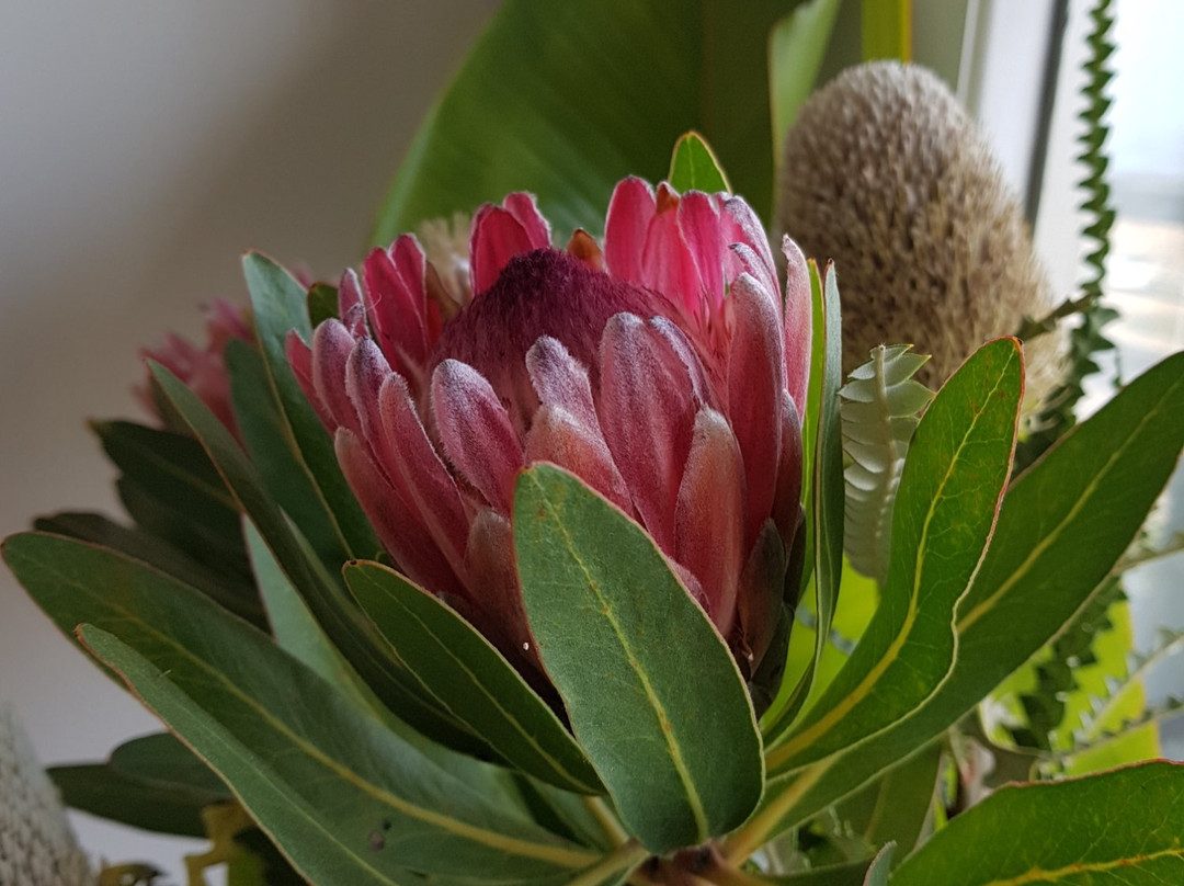 138海洋海滨宾馆主图