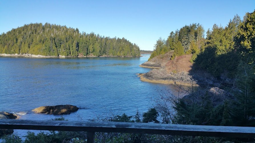 Duffin Cove Oceanfront Lodging主图