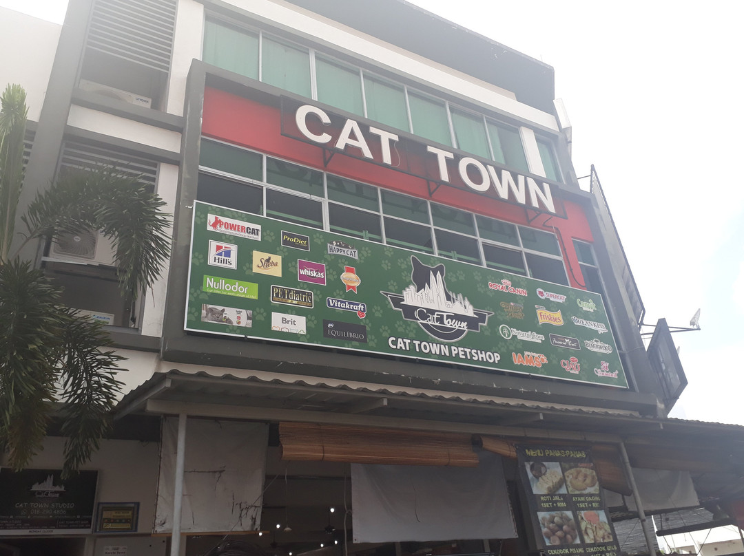 Cat Town景点图片