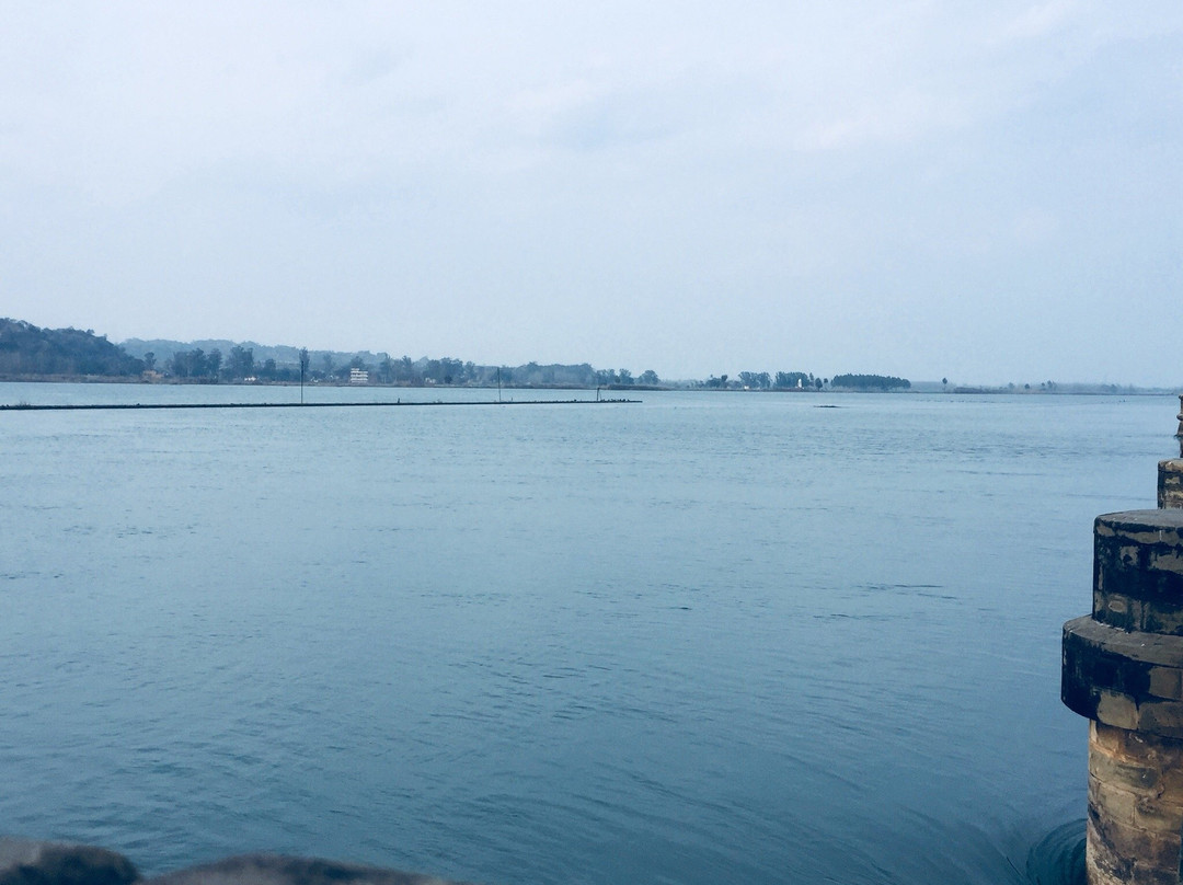 Ropar Wetland (Ropar Lake)景点图片