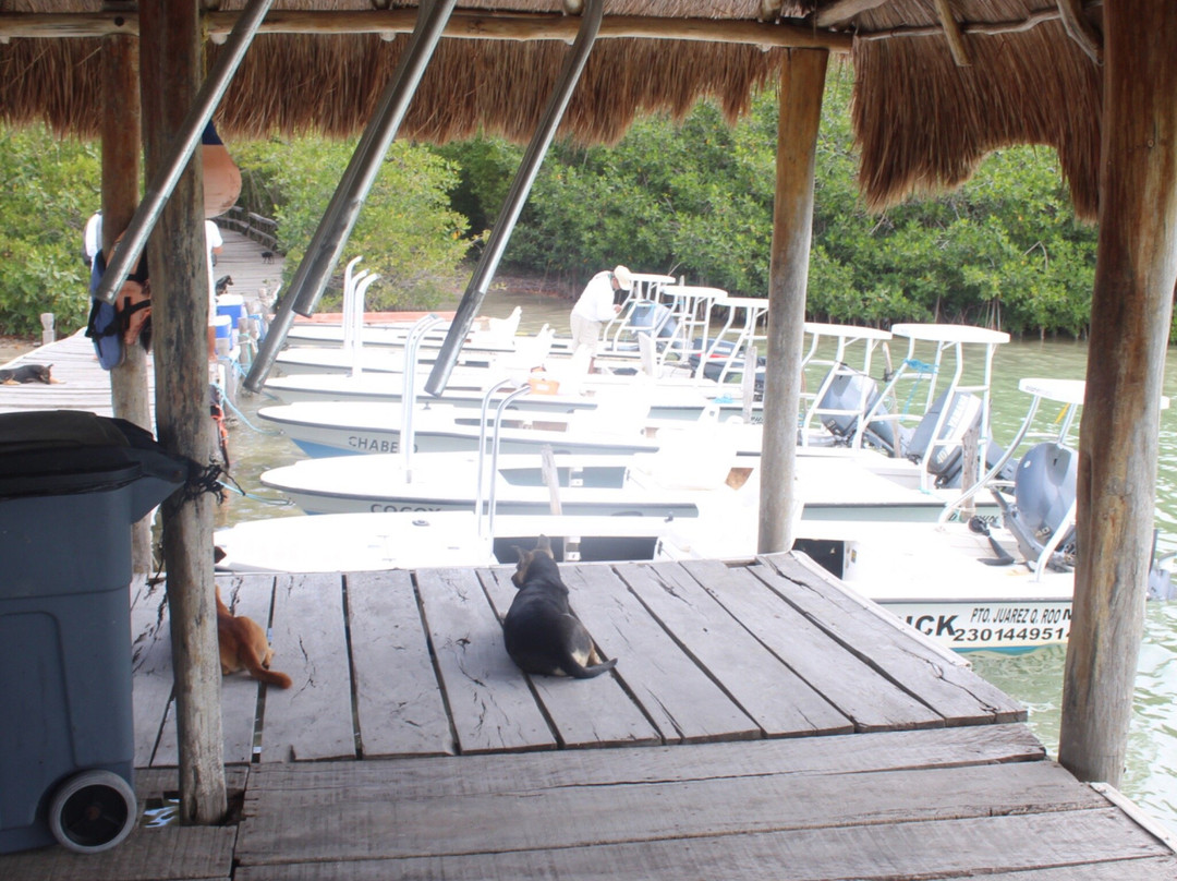 Boca Paila Fishing Flats-图伦必去景点