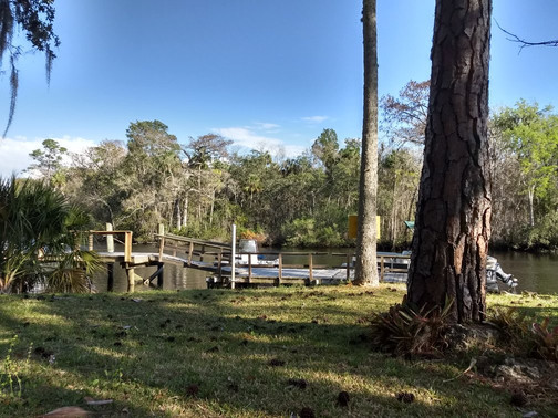 Gulf Hammock餐馆和美食-Blackwater