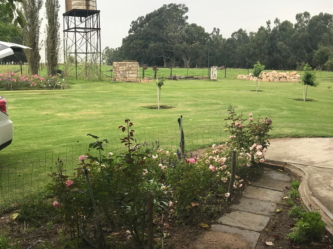 Miss Chrissie's Country House主图